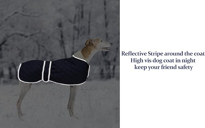 Apsiaustas šuniui, XL