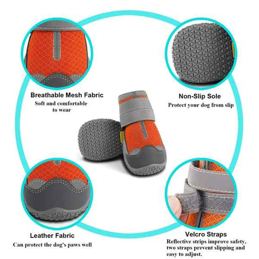 Batai šuniui, 5 dydis