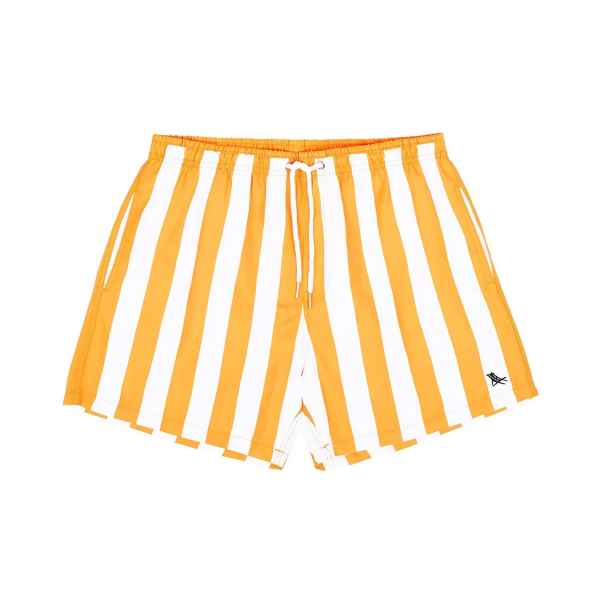 Maudymosi šortai vyrams Dock & Bay Quick Dry, XL