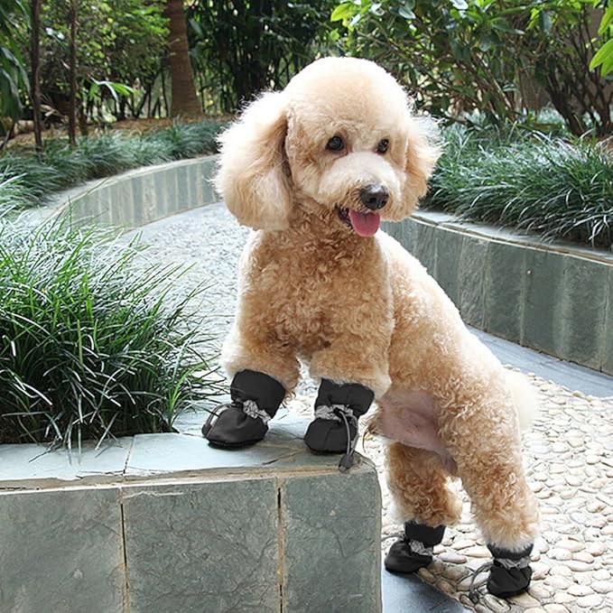 Batai šuniui, XS ir S