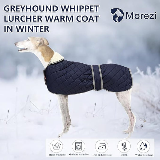 Apsiaustas šuniui, XL