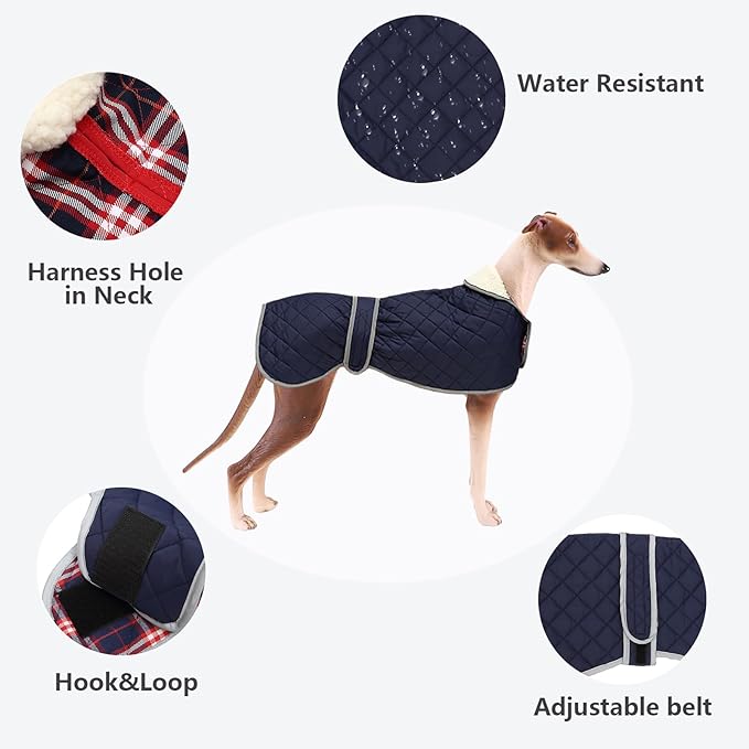 Apsiaustas šuniui, XL