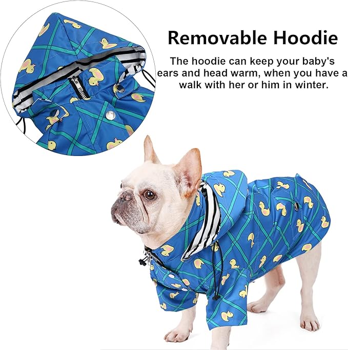 Lietpaltis šunims, L + DOVANA