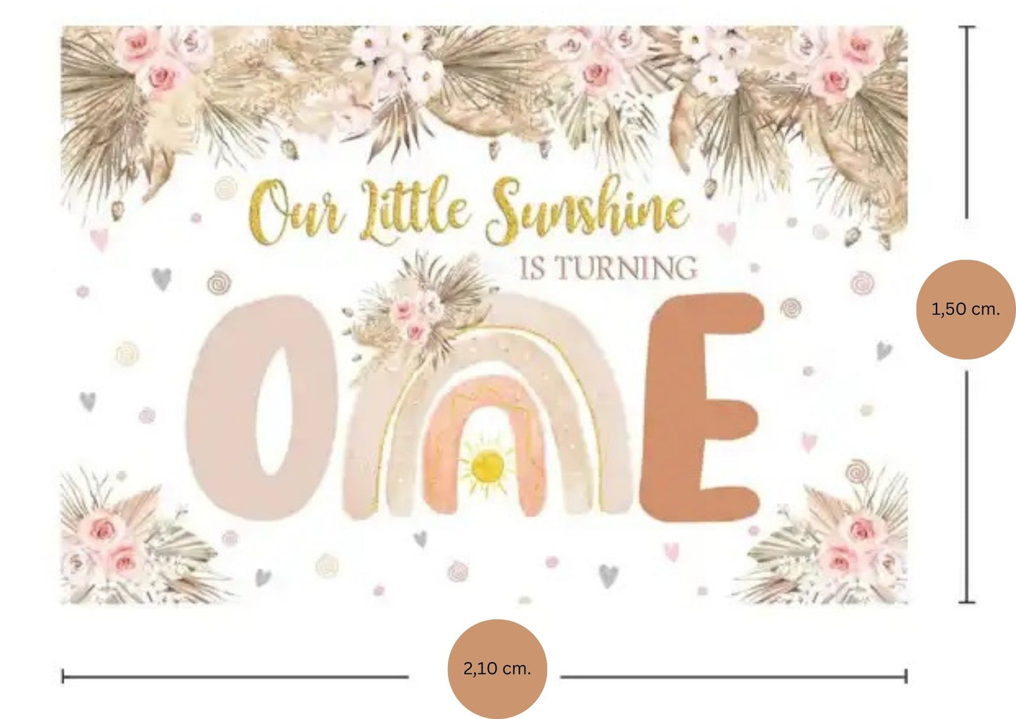 Pirmojo gimtadienio sienelė "One"